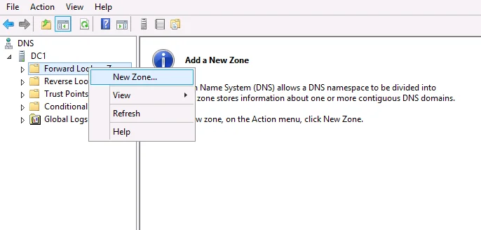 Add New Forward Lookup Zone